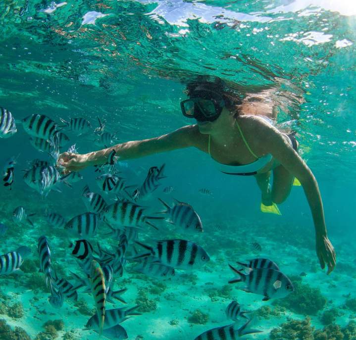 Plongée dans les eaux claires des fonds blancs