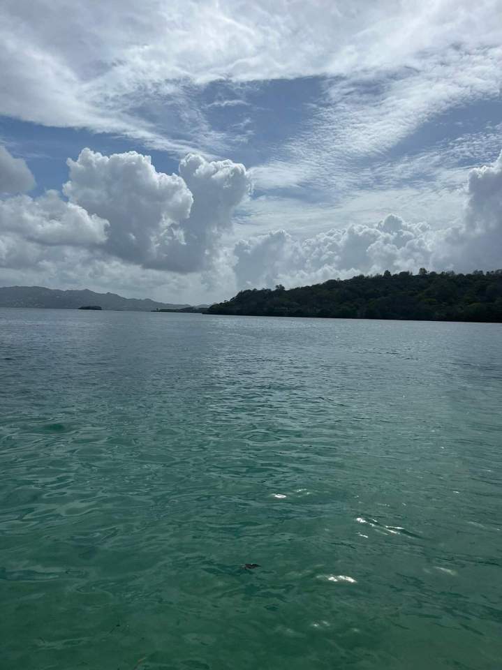 Bateau excursion Le François