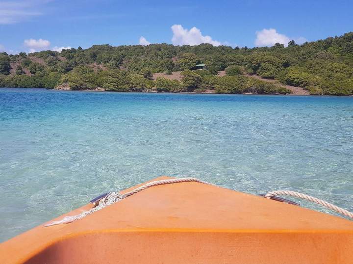 Sortie en mer Martinique