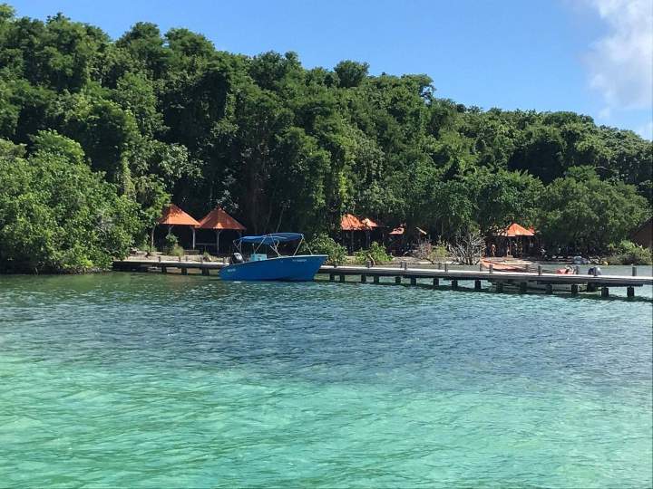 Sortie en mer Martinique