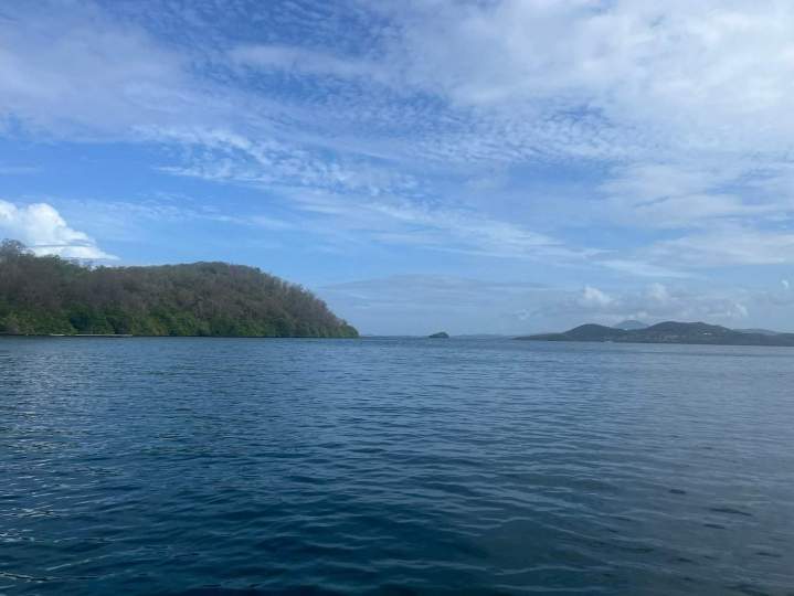 Visite guidée en mer Martinique