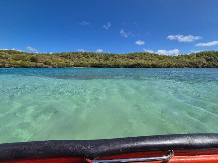 Visite guidée en mer Martinique
