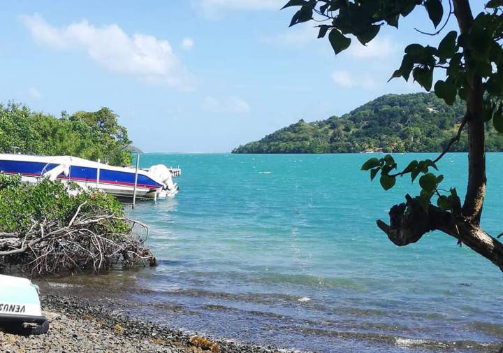 Expédition en mer Martinique