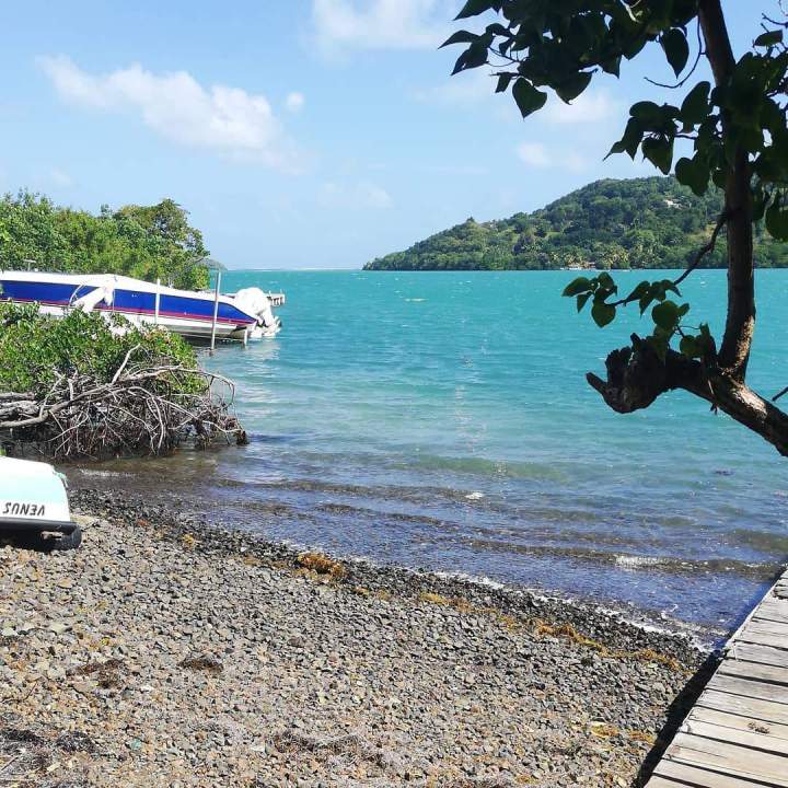 Excursion en mer, Le Robert